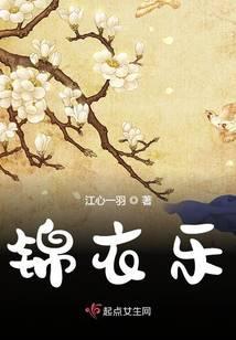 锦衣乐封面