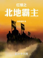 红楼之北地霸主封面