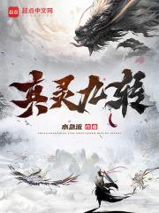真灵九转封面