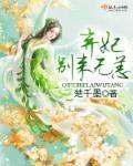 弃妃，别来无恙封面