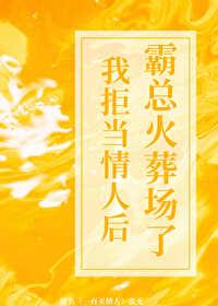 我拒当情人后霸总火葬场了封面