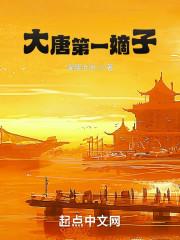 大唐第一嫡子封面