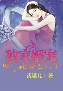 独家婚宠:老婆送上门封面