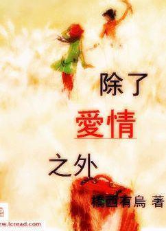 除了爱情之外封面