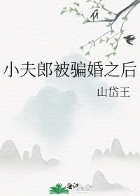 小夫郎被骗婚之后封面