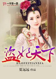 盗妃天下封面