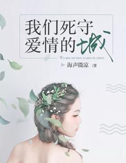 我们死守爱情的城封面
