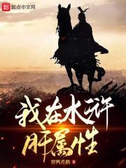 我在水浒肝属性封面