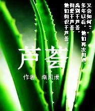 芦荟封面