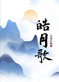 皓月歌封面