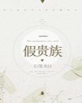 假贵族封面