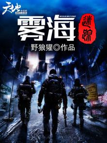 雾海迷踪封面