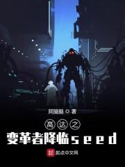 高达之变革者降临seed封面