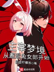 主宰梦境从邂逅兔女郎开始封面