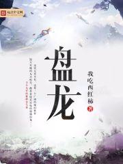 盘龙之圆满之上封面