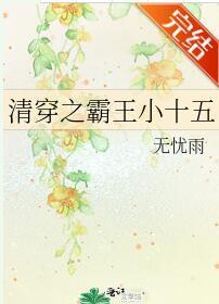 清穿之霸王小十五封面
