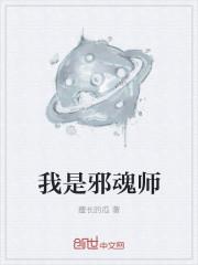 皇上这是御花园封面