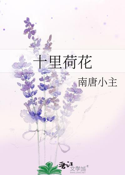 十裏荷花封面