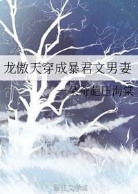龙傲天穿成暴君文男妻封面