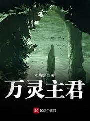 万灵主君封面