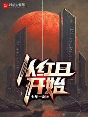 从红日开始封面