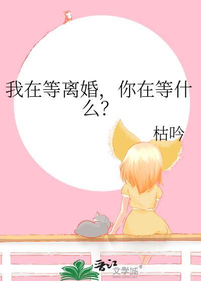 我在等离婚，你在等什么？封面