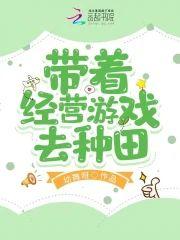 带着经营游戏去种田封面