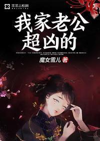 我家老公超凶的封面