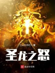 圣龙之怒封面