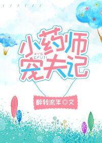 宠夫记封面
