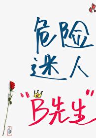 [19世纪]危险迷人“B先生”封面