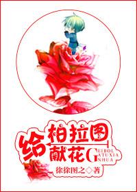 给柏拉图献花[娱乐圈]封面