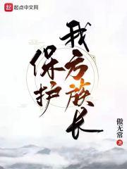 保护我方族长封面