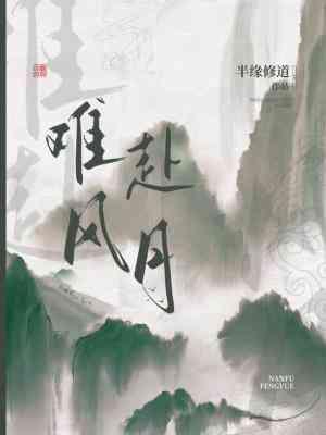 难赴风月封面