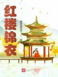 红楼锦衣封面