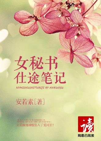 极品女秘书封面
