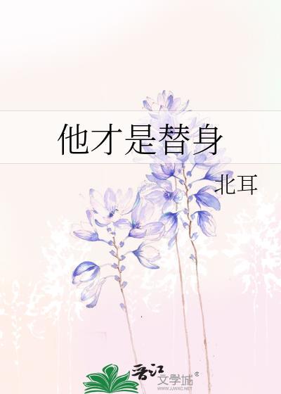 他才是替身封面