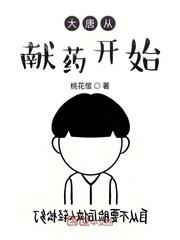 大唐从献药开始封面