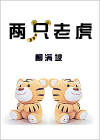 两只老虎封面