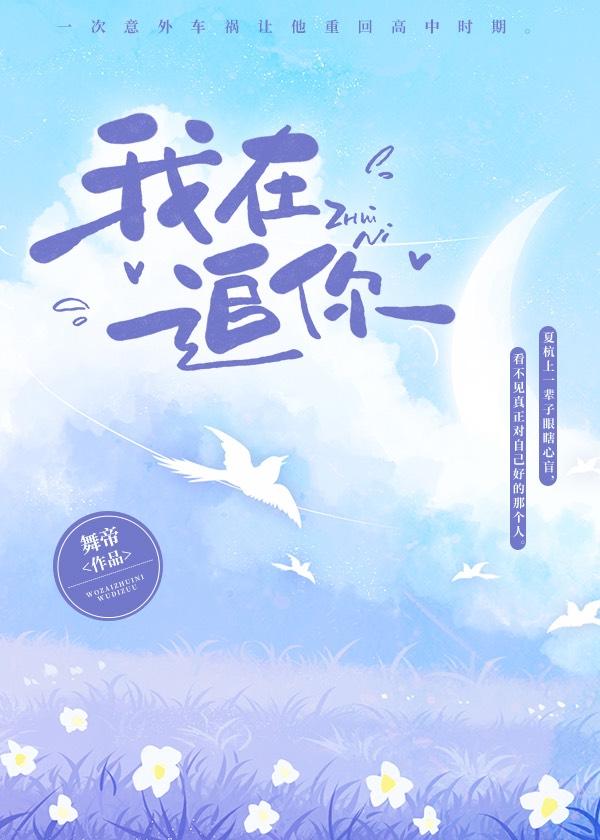 我在追你封面