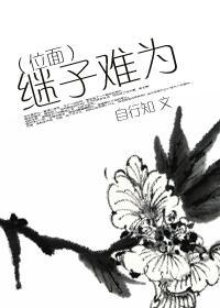（位面）继子难为封面