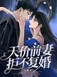 天价前妻拒不覆婚封面
