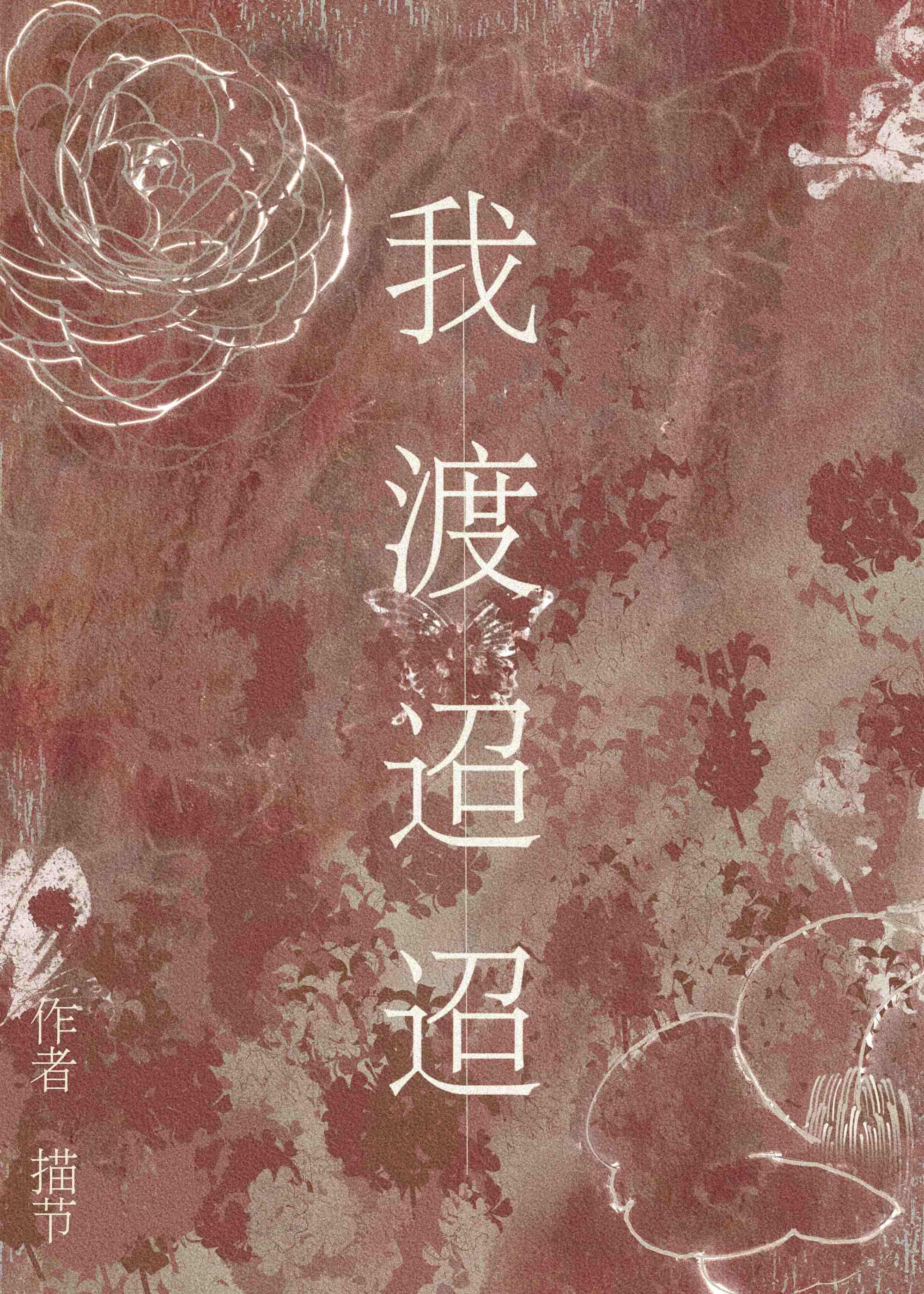 我渡迢迢封面