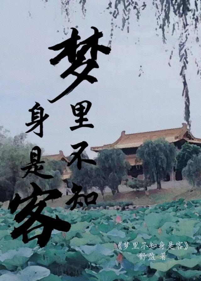 梦裏不知身是客封面