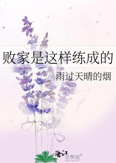 败家是这样练成的封面