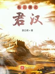 乱三国之君汉封面