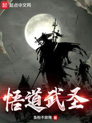 悟道武圣封面