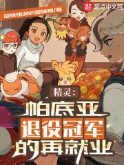 精灵:帕底亚退役冠军的再就业封面