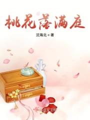 沈清清柳姨娘封面