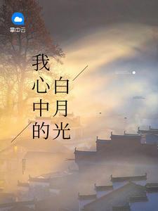 我心中的白月光江绵绵邵沉亦封面